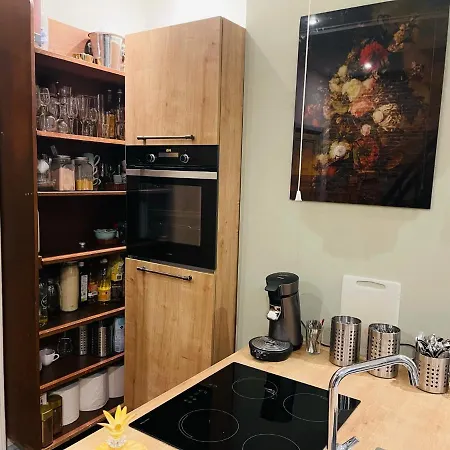 Redlightdistrict Chinacitycentre Partypalace Amsterdam